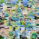 42309213118378660180682094478960940682701788800782918875411853052206504738817