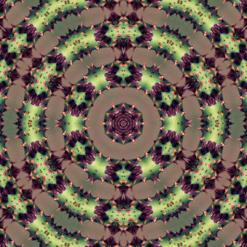 Item #47993365230904546224908061961898398429308184507692648287352000286035579764737 Media