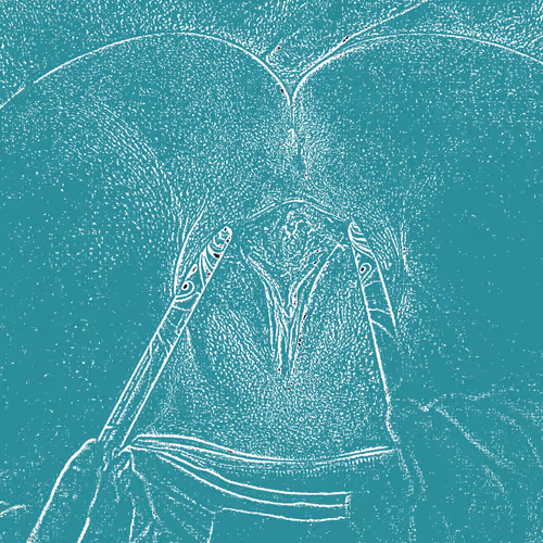 Item #72551960276170832436333405718516412500484849556357090506378501499320879022081 Media