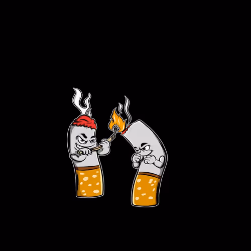 Untitled Collection #258889809