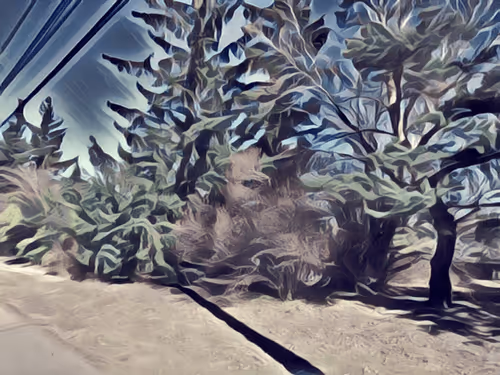 Item #47363753603702379708308966357623410528548816847410412850833506860887674191972 Media