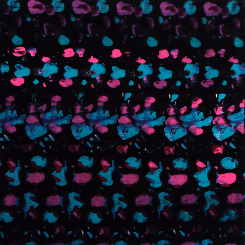 Item #57376363974106256568897494717910972484360876043143694511727187462950609747969 Media