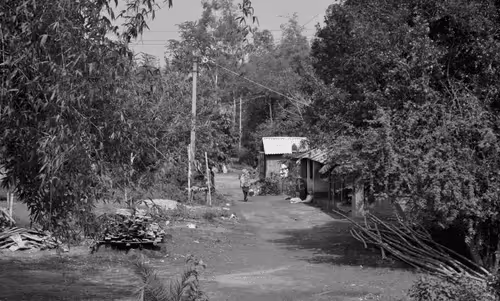 Item #109579018027133606473158902058456759875658318669045531735484408853872821403649 Media