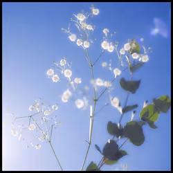 65735283901235411095565859455791530090015704811558660765095343385302922166281