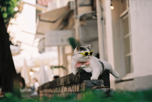 Item #39766039349114458834962057637535056271367696175968087579852078359718406389765 Media