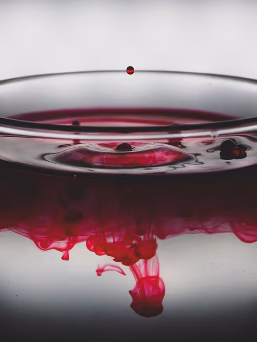 Item #39391070493116977564899321791408150162796374052111424108014134430443453284353 Media