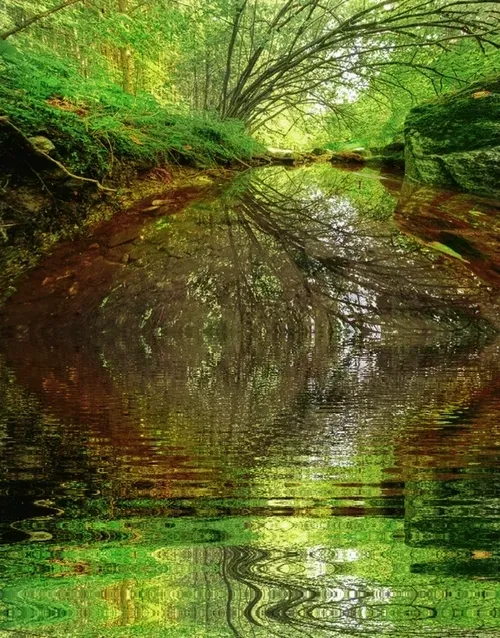 Item #33273431064062745158281459223994481396408298461003960329838769739311020507141 Media