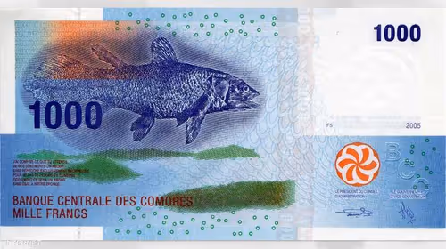 Item #58408560653266177055239592129168900754140982095492404043782717493874324930561 Media