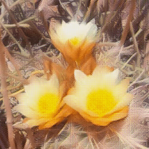 Item #43190579806433981010774040212734353374582811192863113586455236134199793549313 Media