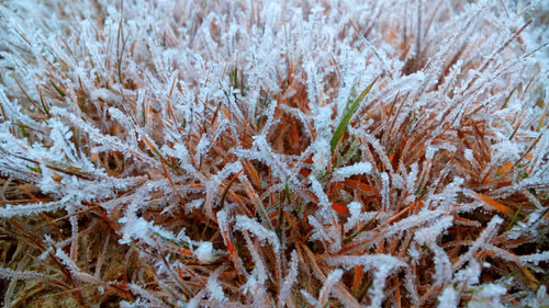 Item #55297223282317197917185791022658401724226762533250968792427961472961396867073 Media