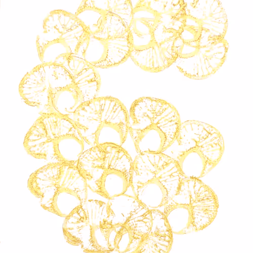 Item #114976545493241493257487804566862386491239486968085247361465236620368259579905 Media