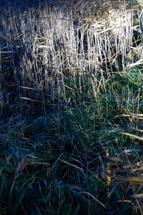 Item #87176501403928380168498398811960935080748737073158175460079780483539310477313 Media