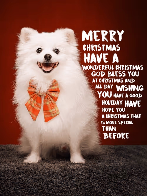 Item #8036610274517614856282005705215780499318604713549687172679363500573972234243 Media