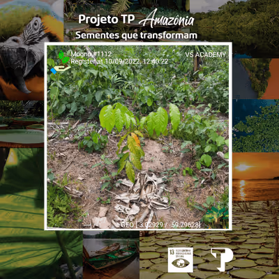 Item #8500196597889277390194123329501889087166328879864934763448348931468453478401 Media