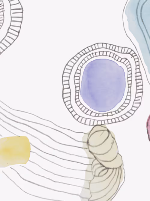 Item #43149038777764532773016279668882109960852004603362959044284205917865240428545 Media