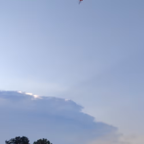 Untitled Collection #59497047