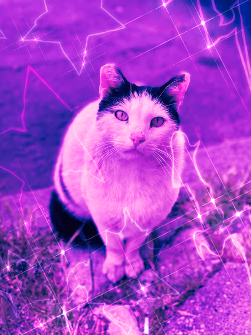 Item #102650025238985064889532626323507420633017859616961165632132730774238896586753 Media