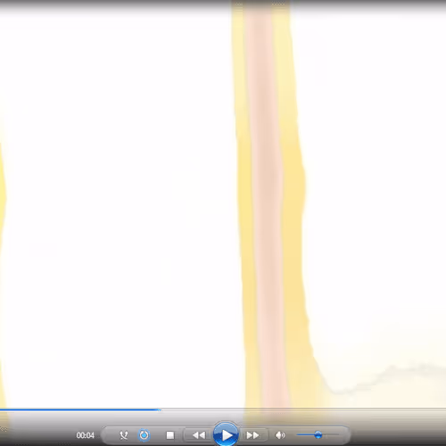 Item #19004776024996262503983040589095556024453172185238775730093072992372286029924 Media