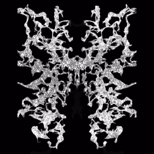 Item #48924875074658437432717595457445198744469409122541570798954499666440641052673 Media