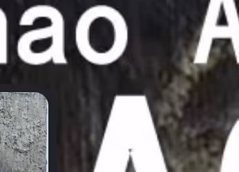 Item #30078259349653292062784062335673521730515750186478709300963580471538161288168 Media