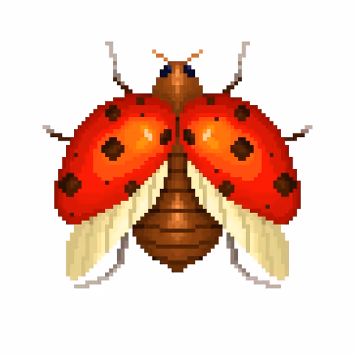 Item #45625333162534813699736100268138213216658335464855955768339296413839393816577 Media