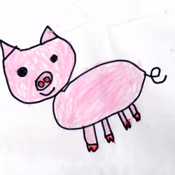Pink pig