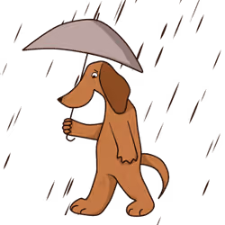 DOGE DOGY series 40/9