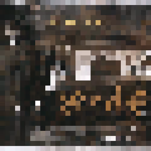 Item #47254268794302959588838965206044365754467053860771647707612792879672048222209 Media