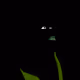 60791497332349478605046147162355048278892720511604838236349171033042703089665