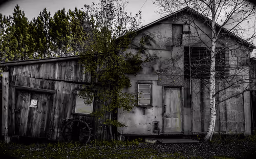 Item #47237781251135923353742950703176233702215495695736078562832556084059265040385 Media