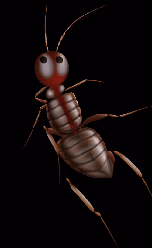 Item #79787343889813582877510155558909016850160649261811296348419943796695204102145 Media