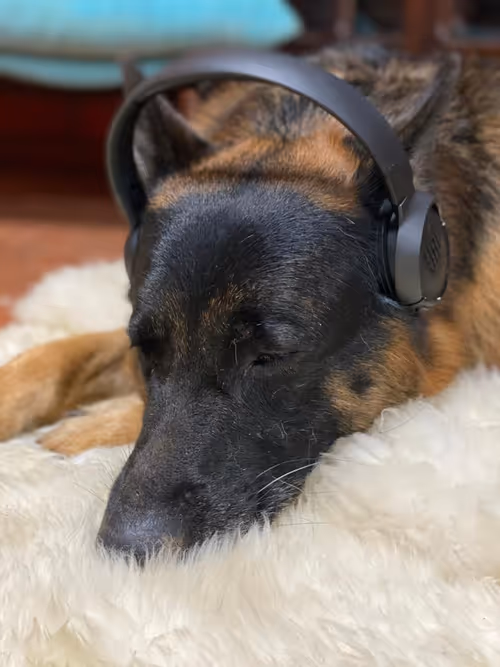 Item #94951261657889433440640425402549201589337916954067992377958453692873031286785 Media