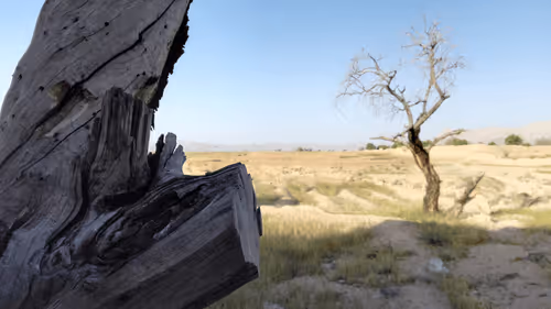 Item #71783453458607510737296471841867983382980629409983277105935523589219644604417 Media