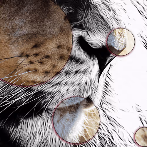 Item #60839276870702459536115980663435026977207856631347422568339333115231546114049 Media