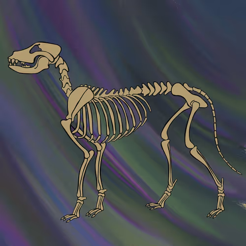 Item #66115251428437251400949335005857765940906863007353817121707627001152964395009 Media