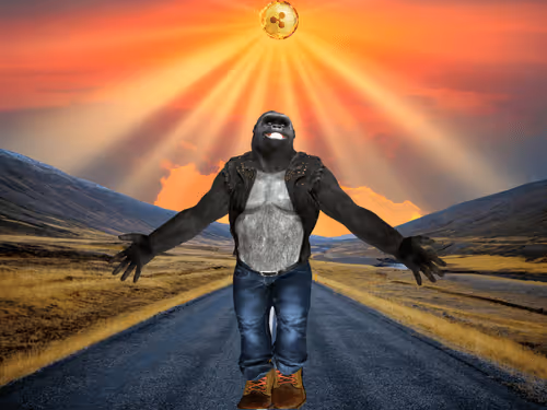 Item #2944565939962509049795693867752970387335487760628721701597681204252045737985 Media