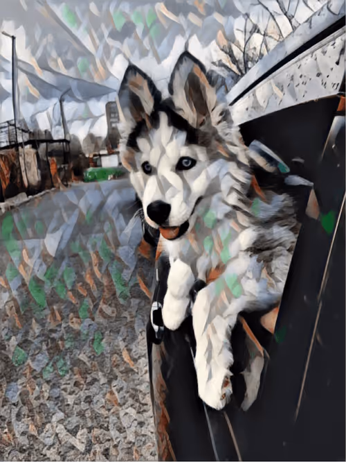 Item #14146803547502692326927891051042067375299252267451974357825757775004646244353 Media