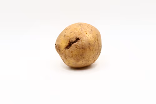 Item #97726151104522163495278545296769301934737660224123995419035737041026114650113 Media