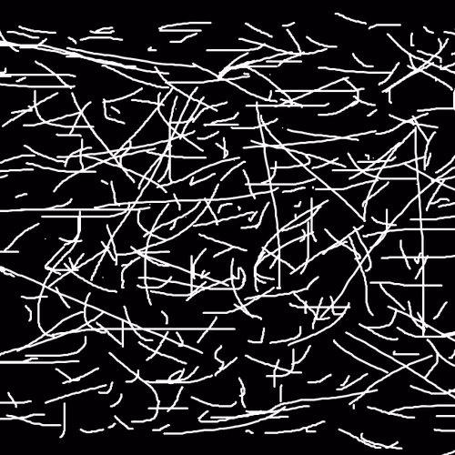 Untitled Collection #266718207