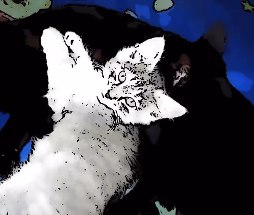 Item #100699266862010265980474664760375873767511284921164942724068627961853845176420 Media