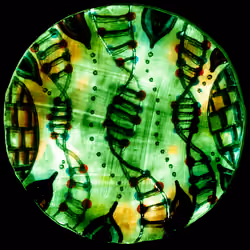 DNA