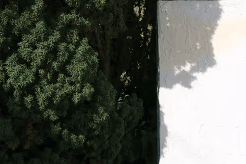 Item #63469761567061717341732170854689072472341875368113613158341509155744462667777 Media