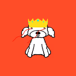 Peachy Poodle #415
