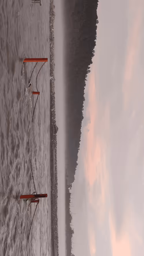 Item #28492546344238997982627040595659913257173957231691920694804582518967758749697 Media