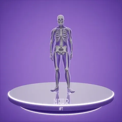 58783896410153536570577946662135448876862726685621327340437200630321543905281