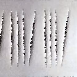 NF#12