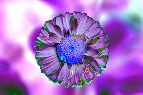 Item #97472780855113725442361506406406632137290984226550429674679319493465237094401 Media