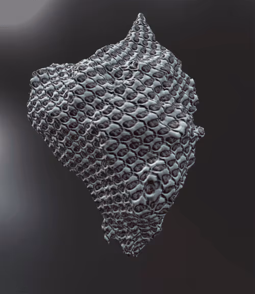 Item #102931976350667485532881989258950336023803745304217733578710373632744802484225 Media