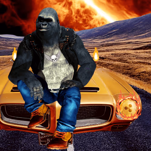 Item #2944565939962509049795693867752970387335487760628721701597681213048138760193 Media