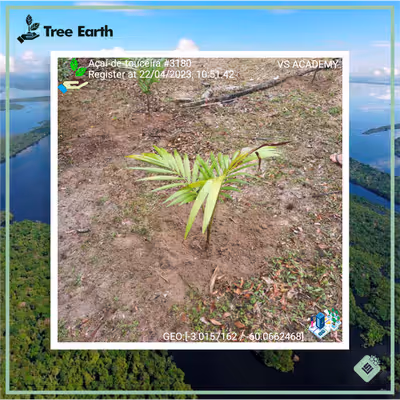 Item #8500196597889277390194123329501889087166328879864934763448349345984337149953 Media